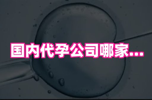 香港助孕网 2