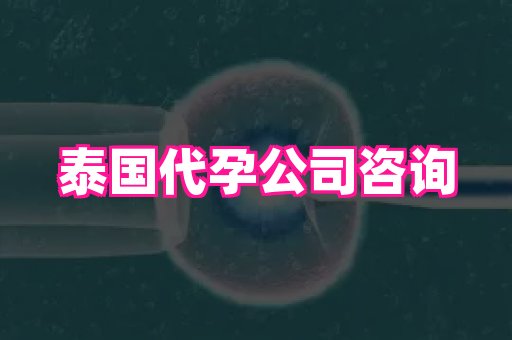 香港助孕网 3